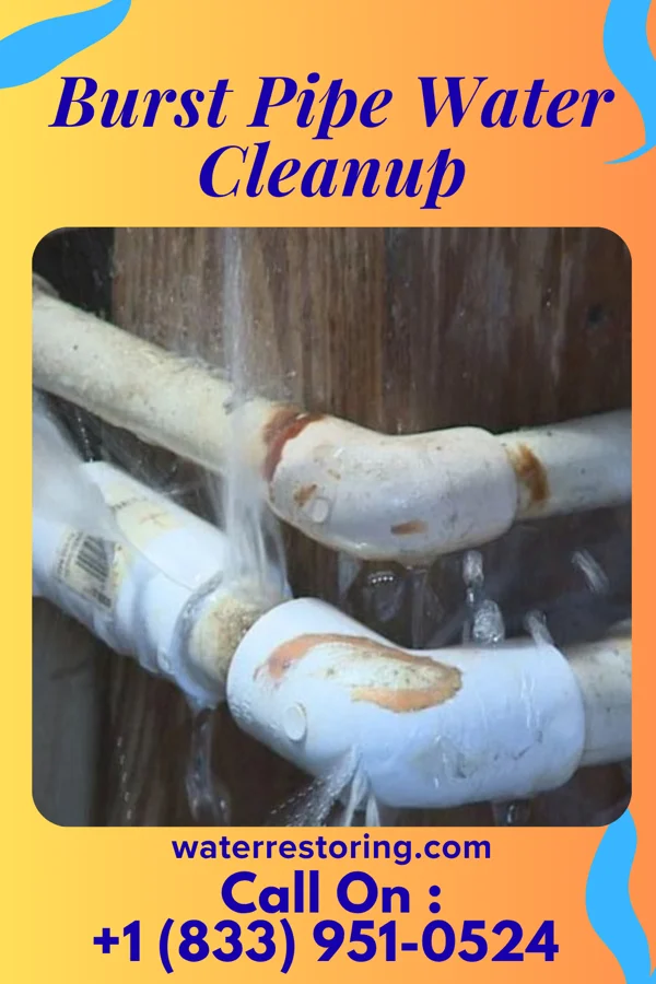 Burst Pipe Water Cleanup in East Rochester, PA