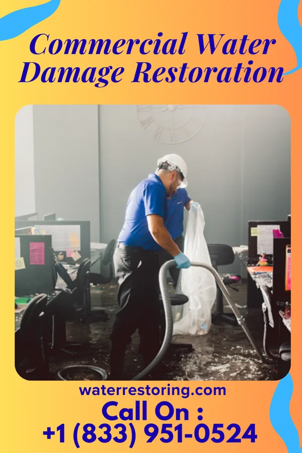Commercial Water Damage Restoration in East Rochester, PA