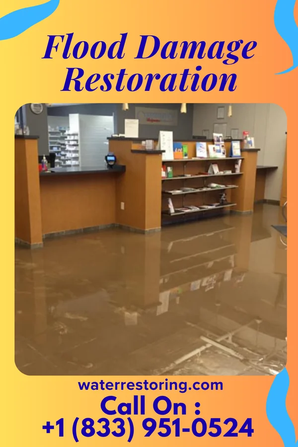 Flood Damage Restoration in East Rochester, PA