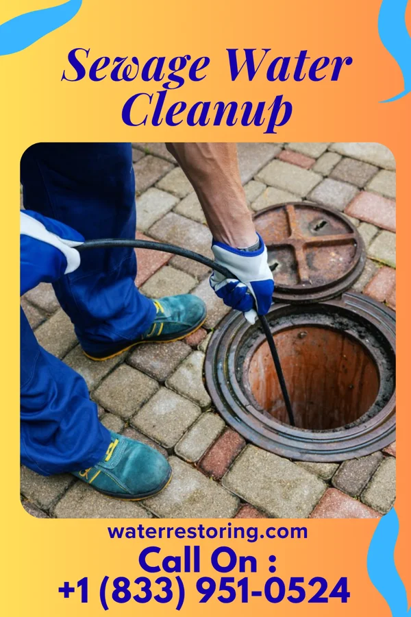 Sewage Water Cleanup in East Rochester, PA