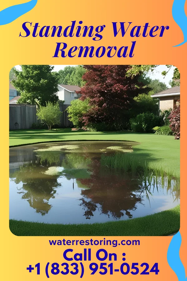 Standing Water Removal in East Rochester, PA